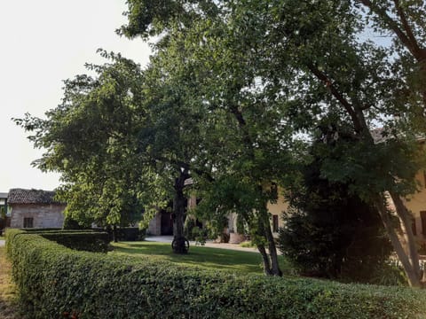 Garden, Garden view, Inner courtyard view