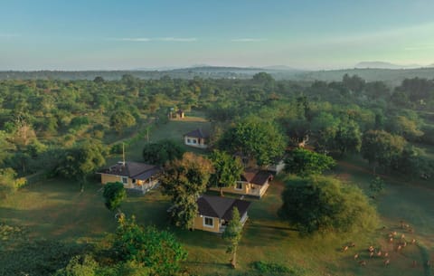 Property building, Bird's eye view