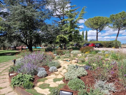 Spring, Day, Natural landscape, Garden