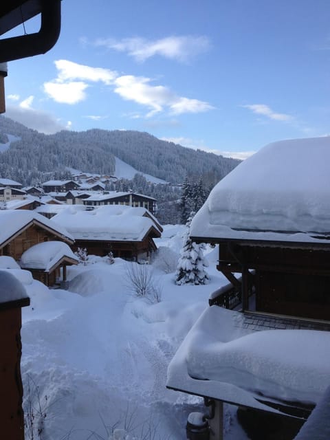 Winter, Mountain view