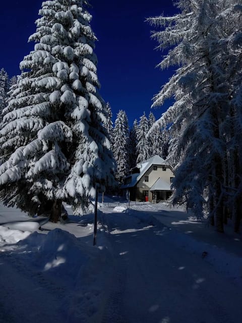 Studios Šumska Kuća 1 Apartment in Serbia