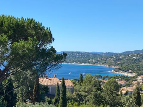 Property view