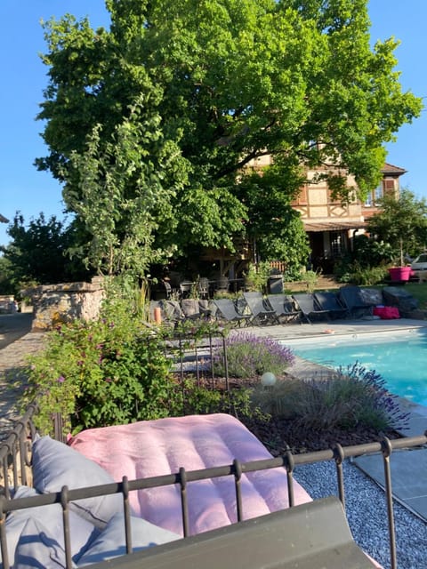 Day, Activities, Summer, Garden, Decorative detail, Garden view, Pool view, Swimming pool, sunbed