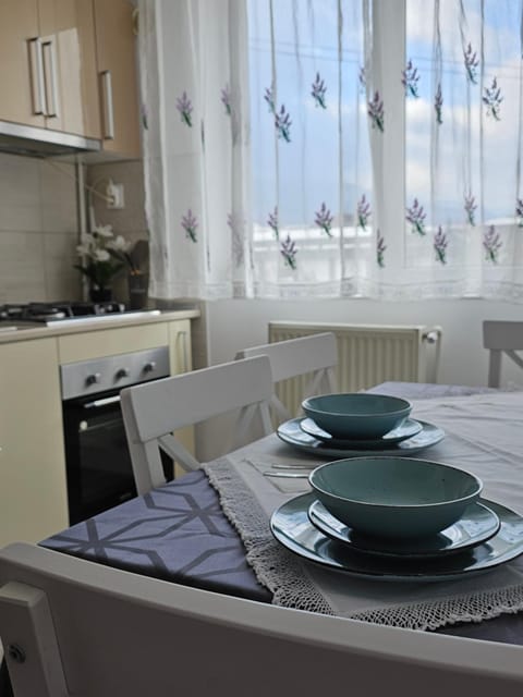 Kitchen or kitchenette, Dining area, stove