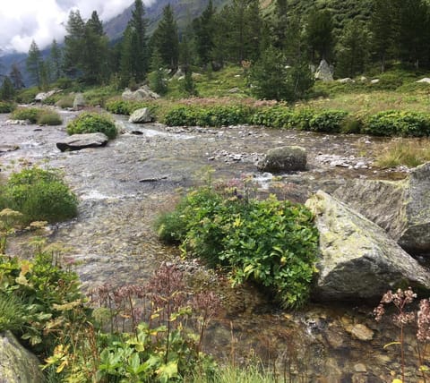 Sonnenhof Apartment in Salzburgerland