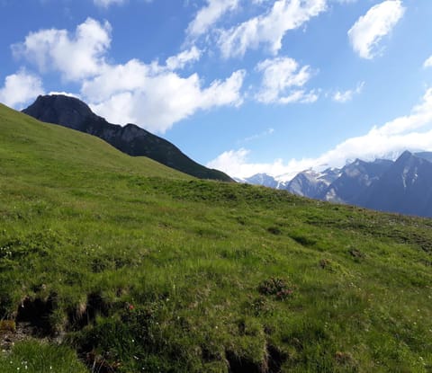 Sonnenhof Apartment in Salzburgerland