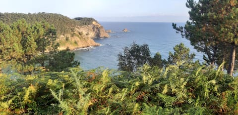 Natural landscape