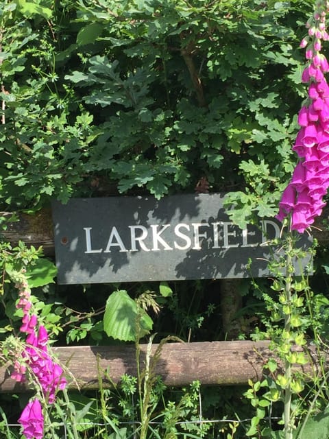 Larksfield Loft Vacation rental in Teignbridge