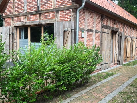 Property building, Garden view