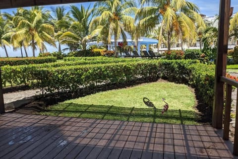 Garden view