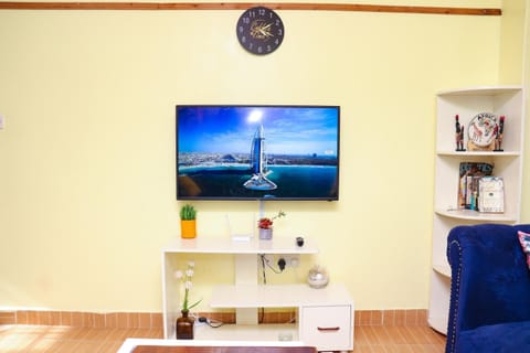 TV and multimedia