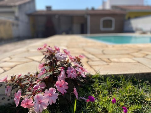 Spring, Garden view, Pool view, Swimming pool