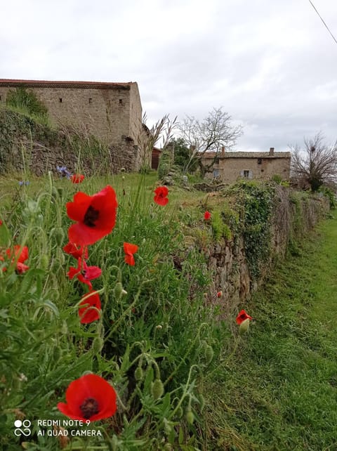 Ferme de fenivou House in Auvergne-Rhône-Alpes