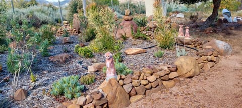 Natural landscape, Garden, Garden, Garden view