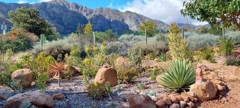 Natural landscape, Garden, Garden, Garden view, Mountain view