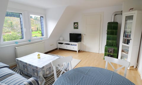 Ferienwohnung im Haus Rhea am Südhang- Feldberg- Falkau Apartment in Hinterzarten