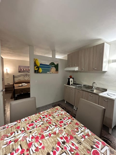 Kitchen or kitchenette, Photo of the whole room, stove
