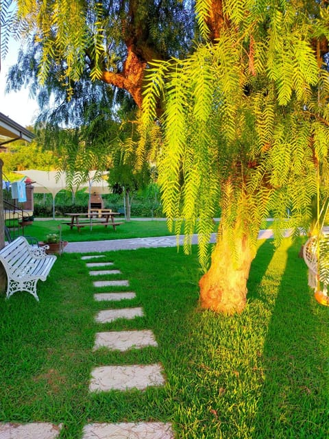 BBQ facilities, Garden