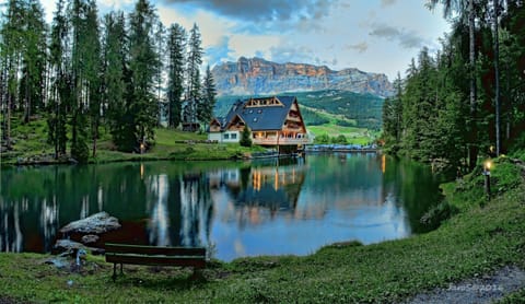 Neighbourhood, Lake view