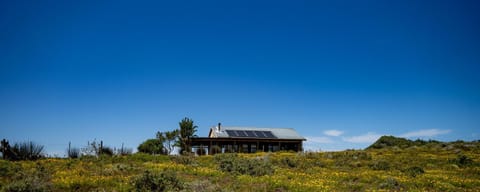 Property building, Day, Natural landscape