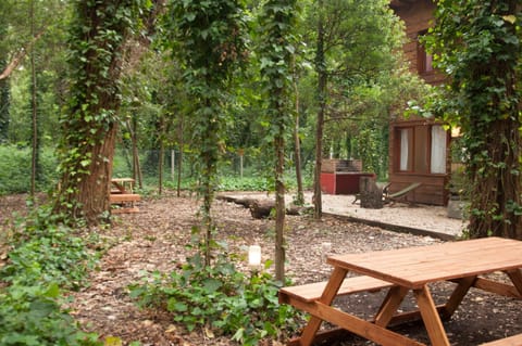 Day, Natural landscape, Garden, Garden view