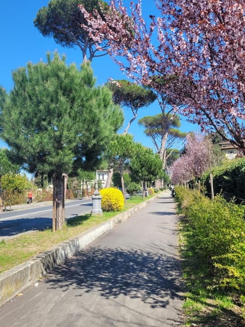 Natural landscape, Street view, Street view, Quiet street view