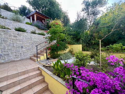 Patio, Garden, Area and facilities