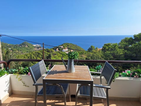 View (from property/room), Balcony/Terrace