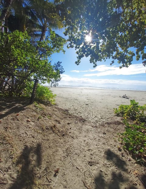Day, Natural landscape, Beach