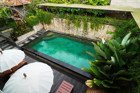 Natural landscape, Garden, Garden view, Pool view, Area and facilities, Swimming pool