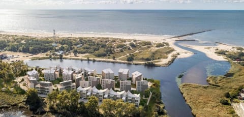 Kapitono tiltelis Apartment in Palanga