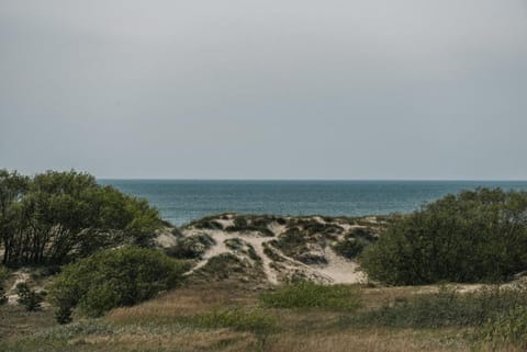 Kapitono tiltelis Apartment in Palanga