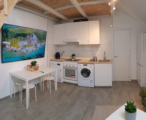 Kitchen or kitchenette, Photo of the whole room, Dining area