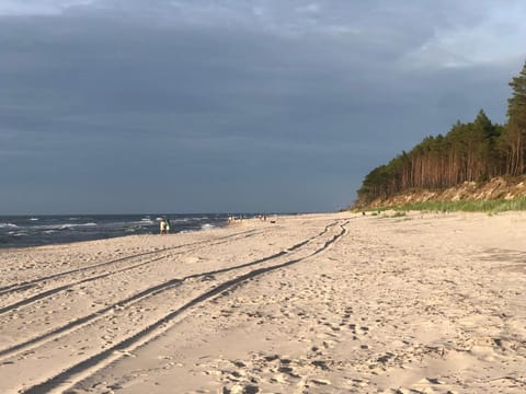 Natural landscape, Beach, Hiking