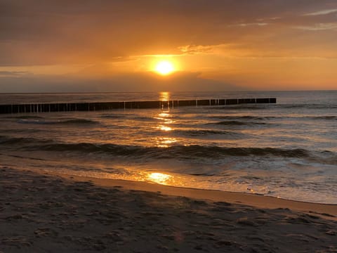 Natural landscape, Beach, Sunset