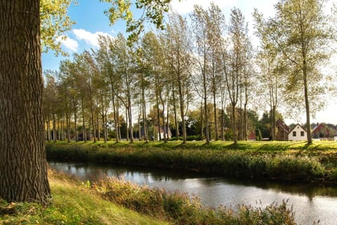 Natural landscape, View (from property/room)