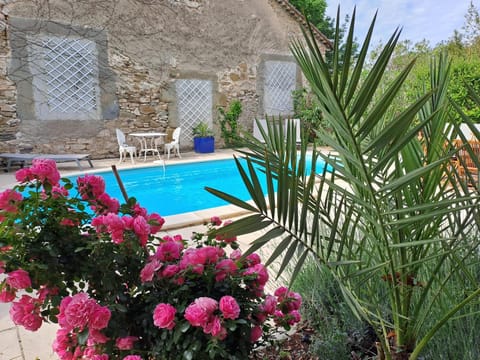 Garden, Swimming pool