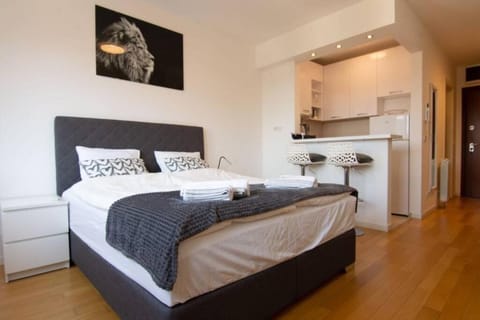 A Blok New Modern - Free garage parking, comfortable, quiet with a park view Apartment in Belgrade