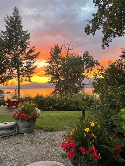 Natural landscape, Garden, Garden view, Lake view, Seasons, Sunset