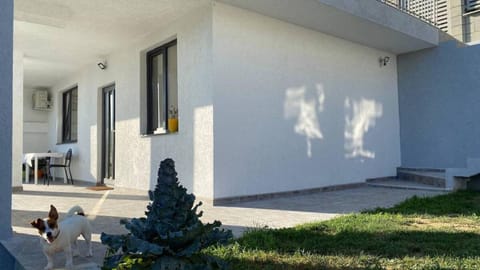 Property building, Facade/entrance, Garden, Pets