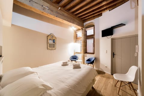 All in Lyon | Suite de charme - cœur du Vieux Lyon Apartment in Lyon