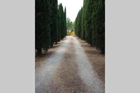 Bastide au milieu des vignes et des oliviers Aups House in Aups