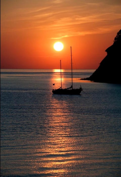Natural landscape