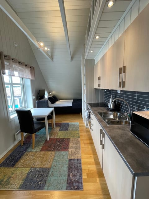 Novatind - Studio apartment with free parking Apartment in Nordland, Norway