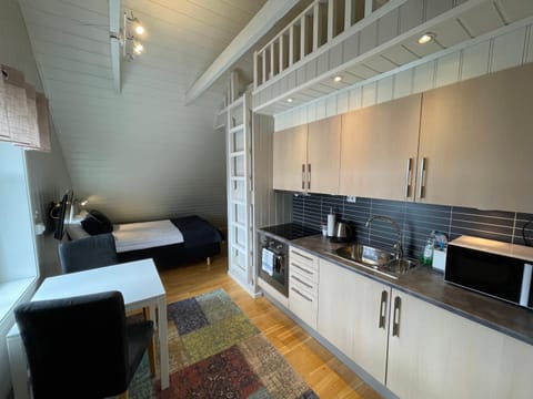 Novatind - Studio apartment with free parking Apartment in Nordland, Norway