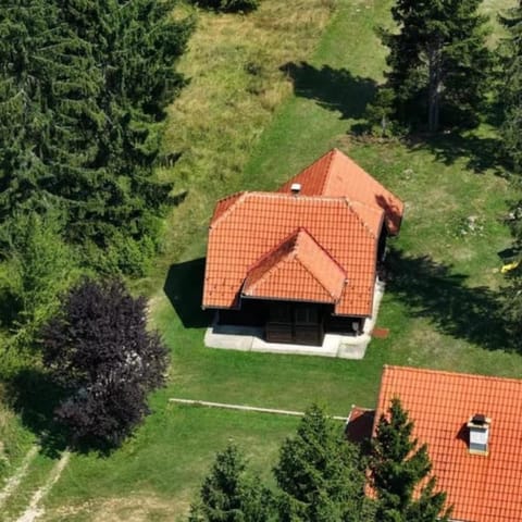 Brvnara Vidikovac House in Zlatibor District, Serbia