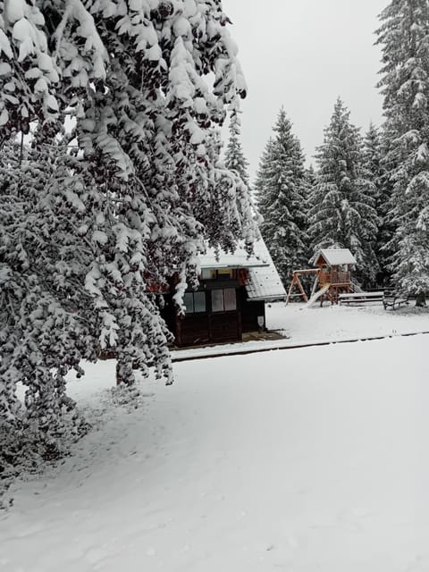 Brvnara Vidikovac House in Zlatibor District, Serbia