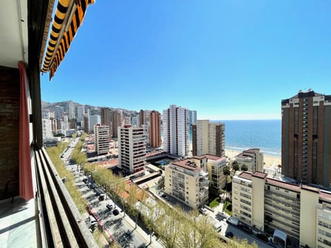Day, City view, Sea view
