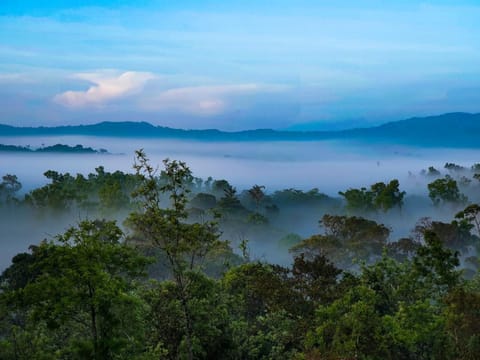 Natural landscape
