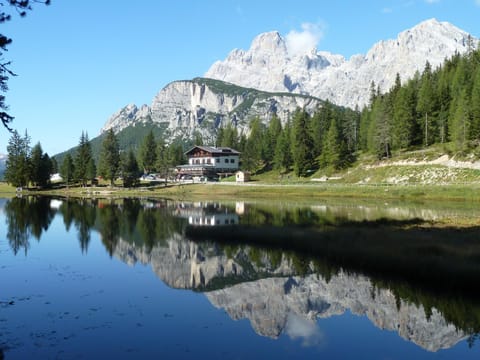 Lake view